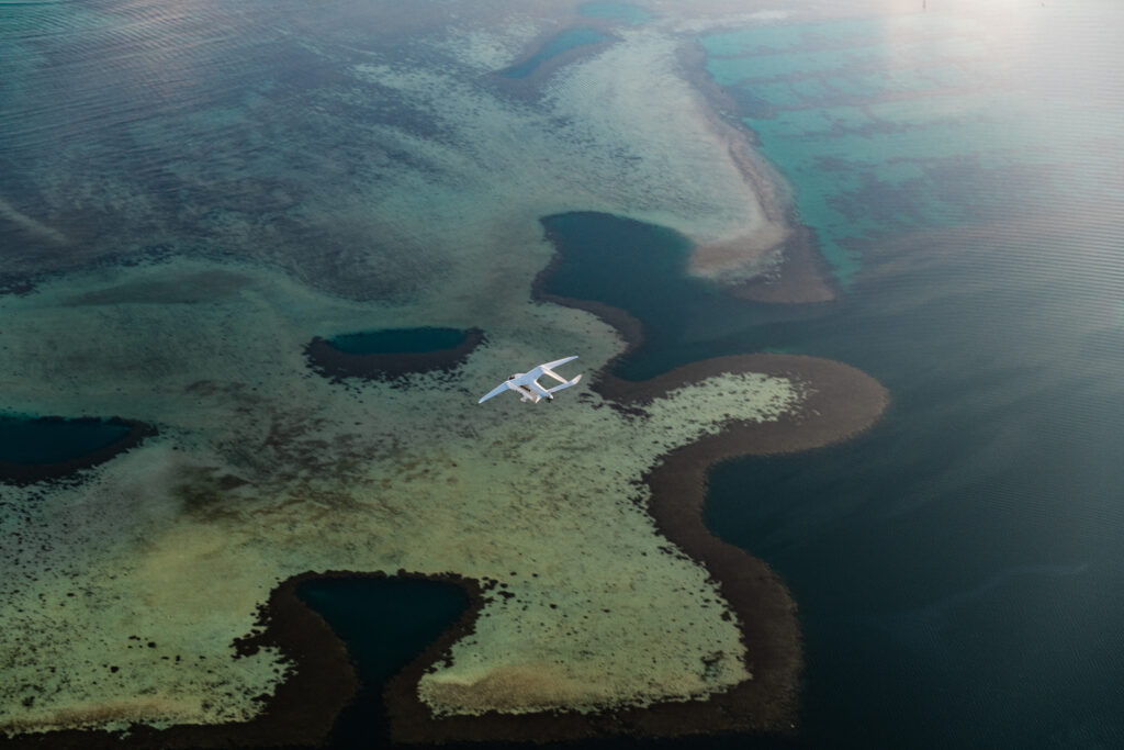 BETA ALIA in Hawaii 1